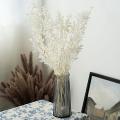 45cm Dried Forever Preserved Ruscus Flowers Diy for Home Decor