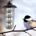 2pcs Bird Feeders Hanging Wild Bird Seed Feeder Nut Feeder for Birds