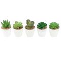 Artificial Mini Succulent Plants Set Of 5, Fake Plants Small Potted