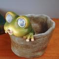 Frog Garden Decor Solar Frog Light Figurines Frog Shaped Statue S