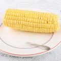 Corn Holders Set Of 21 for Bbq Sweetcorn Holders Home Cooking Fork