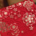 20pcs Chinese Red Envelopes Lucky Money Envelopes Wedding(7x3.4 In)