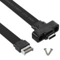 Usb 3.1 Front Panel Type E to Type C Extension Cable ,gen 2