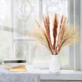 Pampas Grass Natural Dried Flowers for Wedding Decoration Home Decor