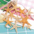 100pcs Natural Starfish Seashell Beach Craft Diy Beach Crafts 1-5cm
