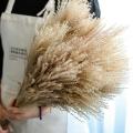 100 Pcs Dried Pampas Grass Decor, 17.7inch for Wedding Bouquets