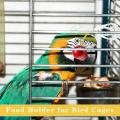 6pcs Vegetable Clip for Birds Bird Cage Feeder for Parrot Vegetable
