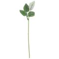 50pcs Artificial Fake Rose Flower Stems for Bouquet Flower Leaf