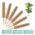 6pcs 16inch Plant Poles for Indoor Plants to Grow, with 12pcs Ties