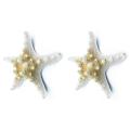 2pcs Natural Starfish Sea Star Shell Making Diy Craft Decor