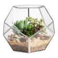 Handmade Pentagon Glass Geometric Terrarium Garden Display Flower Pot