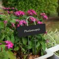 60 Pcs Plant Labels Weatherproof Garden Markers Reusable Nursery Tags