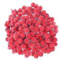 320 Artificial Frosted Red Holly Berries Mini Christmas Fruit Berry