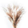 60 Pcs Natural Dried Pampas Grass, 17inch for Home Decor, Wedding