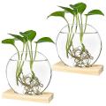 Glass Vase with Wood Stand for Hydroponic Plants Home Office Decor 2