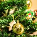 50 Packs Plastic Green Hooks for Hanging Christmas Tree Decorations