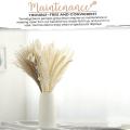 Natural Dried Pampas Grass - 85 Stems Assorted Dried Flowers 17inch