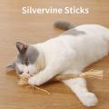 10 Pieces Cat Chew Toy Silvervine Chew Stick for Indoor Adult Cat