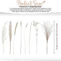 Natural Dried Pampas Grass - 85 Stems Assorted Dried Flowers 17inch