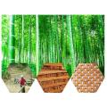 Teak Wood Bath Mat Feet Shower Floor Natural Bamboo 50x70cm