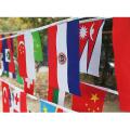 1 Set Different Countries Flag & Wk International World Banner 25m