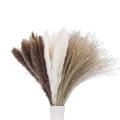 60pcs, Natural Dried Pampas Grass Decor for Flower Boho Wedding Decor