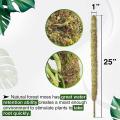 2 Pack 25 Inch Real Moss Pole for Monstera Plant Stakes, Sphagnum