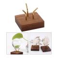 2 Pcs Display Stand Walnut Base for Fossil Coral Geodes Mineral