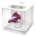 Betta Fish Tank Aquarium Fish Tank Easy to Change The Water (white)