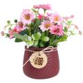 Nordic Cineraria Simulation Flower Potted Decoration , Red