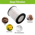 Wet and Dry Cartridge, 17816 Washable and Reusable Replacement Filter