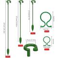 30pcs Plant Support Stakes Plant Cage Support Rings for Indoor Plants