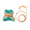 Training Walking Leads for Small Cats Dogs Floral Adjust (green M)