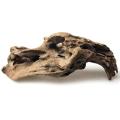 Mini Driftwood for Aquarium Natural Wood Branches (10 Pack)