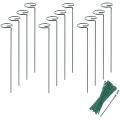 12 Pack Plant Support Stakes, 15.7 Inch with 24 Pcs Twist Ties
