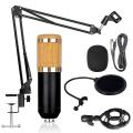 Bm800 Microphone Kit with Sound Card Microphone for Computer(gold)