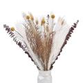 Natural Dried Flower Bouquet,for Vase,home Table Wedding Party Decor