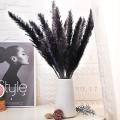 30pcs Black Pampas Grass, 17 Inch Natural Dried Fluffy Small Stems
