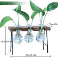 Desktop Plant Terrarium with Wooden Stand 3 Bulb Vases Glass Planter