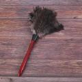 Ostrich Cleaning Feather Duster Fan Blades Of Various Photo Color