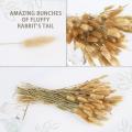 120pcs Rabbit's Tail Grass,17inch Dried Pampas Grass for Wedding Home
