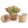 Indoor and Outdoor Flowerpot 3piece Seaweed Plant Basket Garden Decor