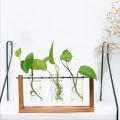 Terrarium Hydroponic Plant Transparent Vase Wooden Frame Vase