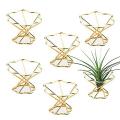 Air Plant Holder Metal for Home Office and Wedding Decoration