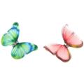 50pcs Organza Butterfly Appliques for Party Decor, Doll Embellishment