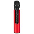 Bluetooth Dual Speaker Karaoke Mic for Live Streaming Speech Red