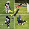 2 Pcs Ultrasonic Dog Whistle Stop Barking Dog Training Whistle