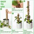 4 Pcs Moss Poles for Climbing Plants,moss Stick for Indoor Plants