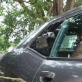Car Side Window Scoop Louvers Trim for Dodge Challenger Black