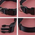 Nylon Dog Puppy Collar with Buckle and Clip for Lead (m, Black)